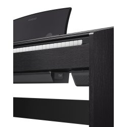 Casio PX-770BK